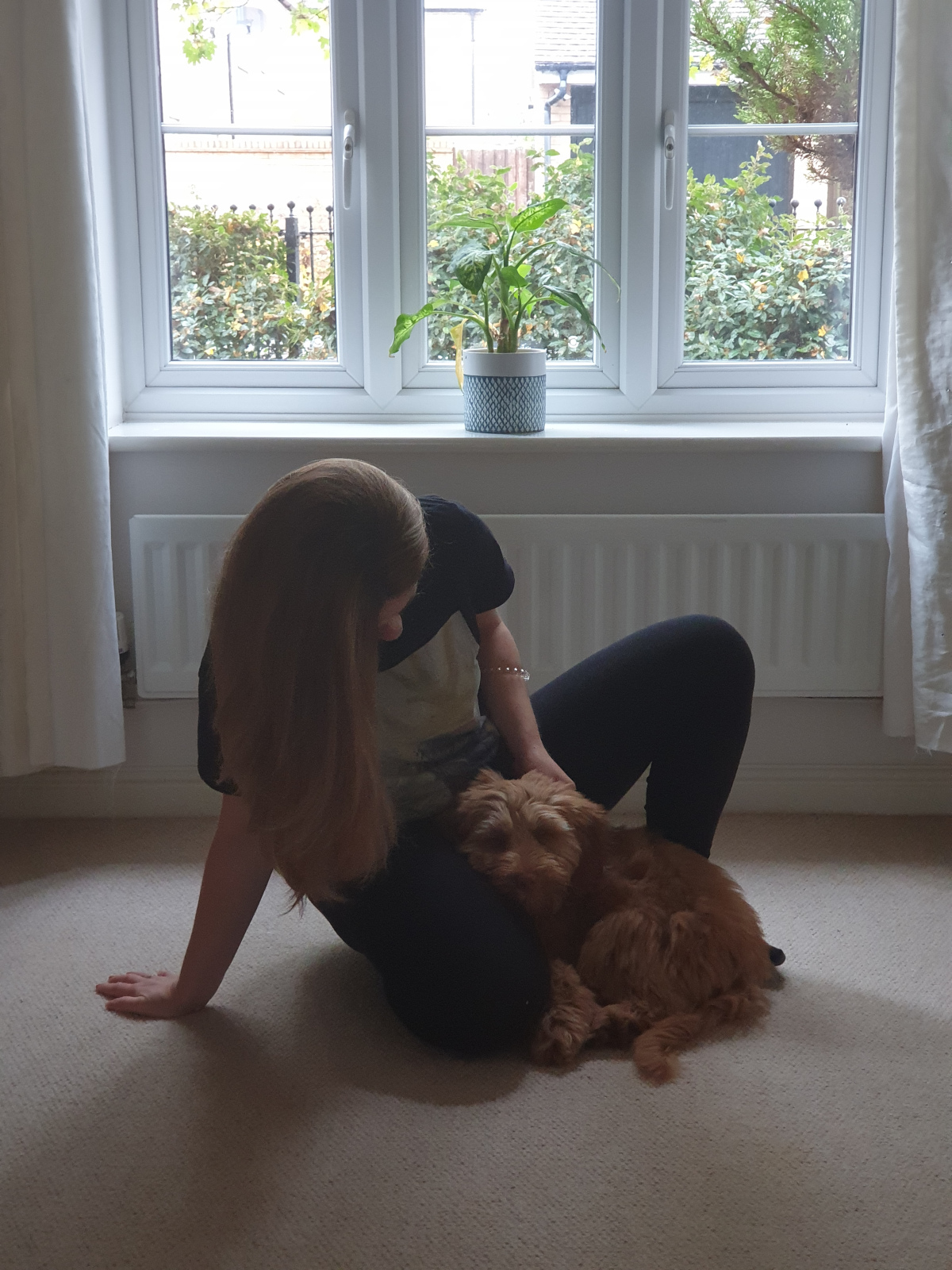 Relaxed Alf and I Kamila, the Ruff Pooch's primary dog trainer, and her dog Alf, who is resting comfortably on her lap.